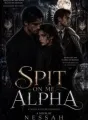 Spit On Me Alpha  cover