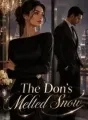 The Don's Melted Snow cover