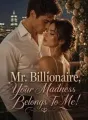 Mr. Billionaire, Your Madness Belongs To Me! cover