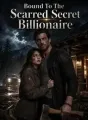 Bound To The Scarred Secret Billionaire cover
