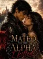 Mated to the Alpha I Killed  cover