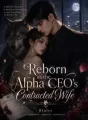 Reborn as the Alpha CEO's Contracted Wife cover
