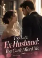 Too Late, Ex-Husband: You Can't Afford Me cover