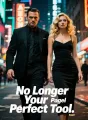 No Longer Your Perfect Tool cover