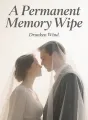 A Permanent Memory Wipe cover