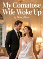My Comatose Wife Woke Up cover