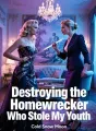 Destroying the Homewrecker Who Stole My Youth cover
