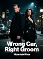 Wrong Car, Right Groom cover