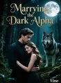 Marrying the Dark Alpha cover