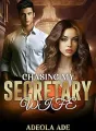 Chasing My Secretary Wife cover