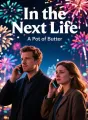 In the Next Life cover