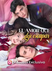 El amor que dejé escapar