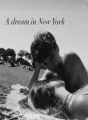 A Dream in New York cover