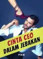 Cinta CEO dalam Jebakan cover