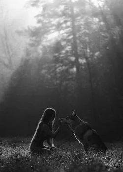 La Chasse