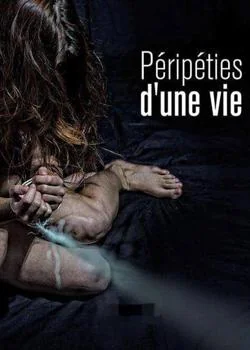 Péripéties d'une vie