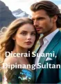 Dicerai Suami, Dipinang Sultan cover