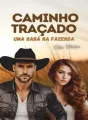 Caminho traçado: uma babá na fazenda cover