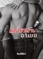 เหลี่ยมรักอาเขย cover