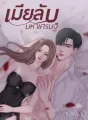 เมียลับมหาเศรษฐี cover