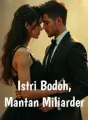 Istri Bodoh, Mantan Miliarder cover