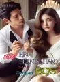 100 Hari Menikah Dengan Si BOS cover