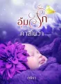 อุ้มรักคาสโนว่า cover