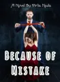 Because of Mistake cover