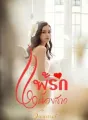แพ้รักน้องสาว cover