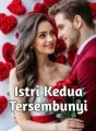 Istri Kedua Tersembunyi cover