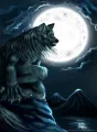 Les jumeaux loup garou  cover