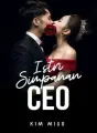 ISTRI SIMPANAN CEO cover