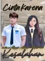 Cinta Karena Kesalahan cover
