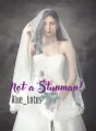 Not a Stuntman! cover