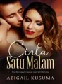 Cinta Satu Malam  cover