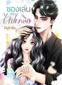 ของเล่นของไฟเพลิง cover
