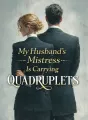 My Husband’s Mistress Is Carrying Quadruplets cover