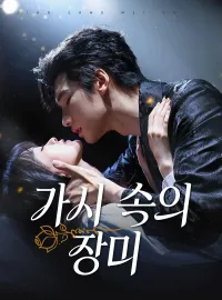 가시 속의 장미
