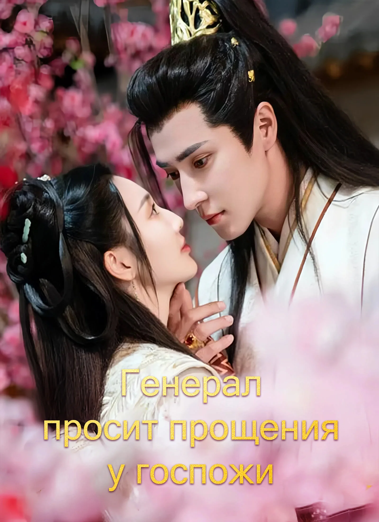 Генерал просит прощения у госпожи