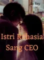 Istri Rahasia Sang CEO cover