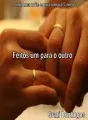 Feitos um para o outro (série Uma noite e para sempre 5 em 1) cover