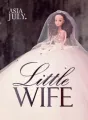 Little Wife cover
