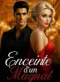 Enceinte d'un magnat cover