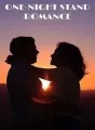 One night stand  Romance  cover