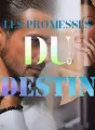Les promesses du destin cover