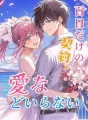百日だけの契約、愛などいらない cover