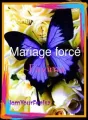 Mariage arrangé-Fayima cover