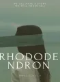 Rhododendron cover