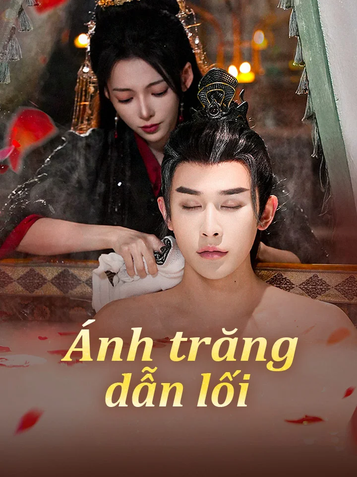 Ánh trăng dẫn lối