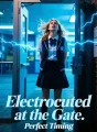 Electrocuted at the Gate cover